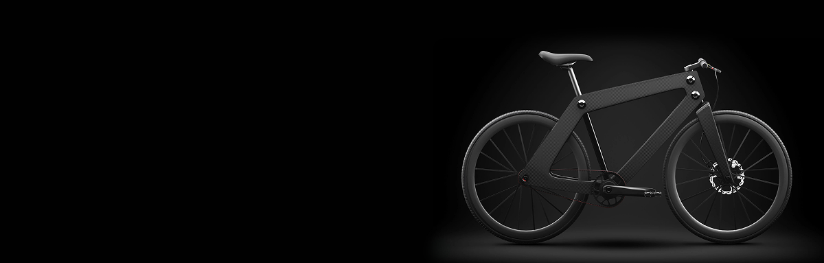 Nordic Bike